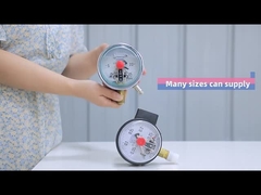 Mejora de presión llena de silicona de acero inoxidable Conexión inferior 100 mm