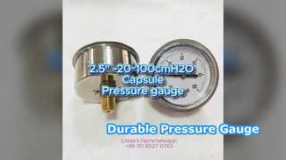 2.5" 60mm -20~100cmH2O Caja de acero inoxidable+conexión de latón