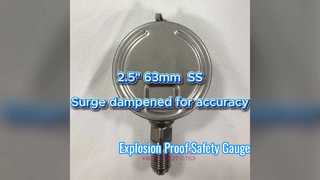 2,5" 63 mm 0~1,6 MPa/0~16 kgf/cm2 Sobretensión amortiguada para mayor precisión Totalmente de acero inoxidable, esfera vertical, bayoneta