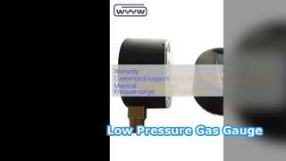 Manómetro de cápsula de 63 mm Gas de baja presión