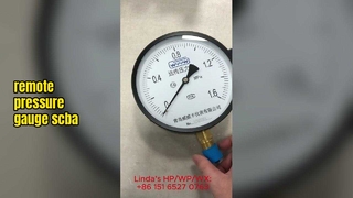 Lectura remota y manómetros remotos - Soluciones de monitoreo industrial