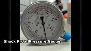 100 mm 4" TODOS SS 0-2,5 MPa