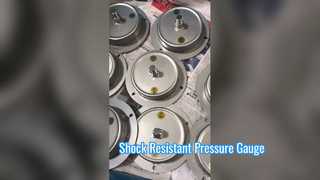 High‑Quality Liquid Filled Shock‑Resistant Pressure Gauge | Clear Oil No‑Bubble Design